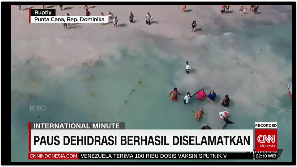 Screenshot 3 Tv Indonesia Pro Ne Technology